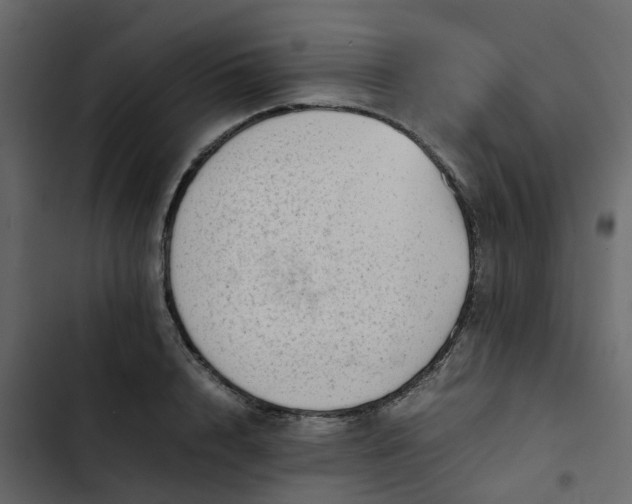 X0000102860848200809021422