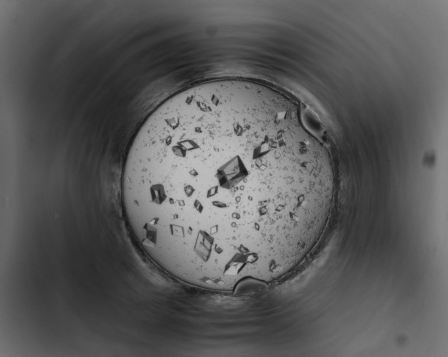 X0000102860849200809021422