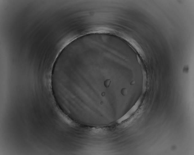 X0000102860850200809021422