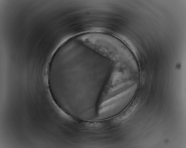 X0000102860851200809021422