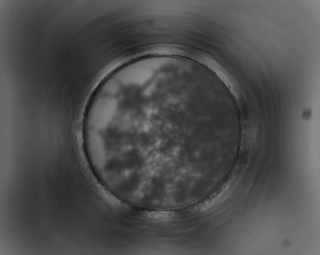 X0000102860853200809021422