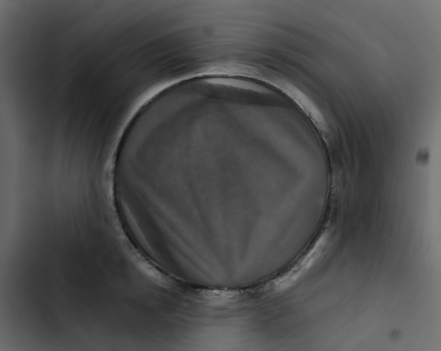 X0000102860854200809021422