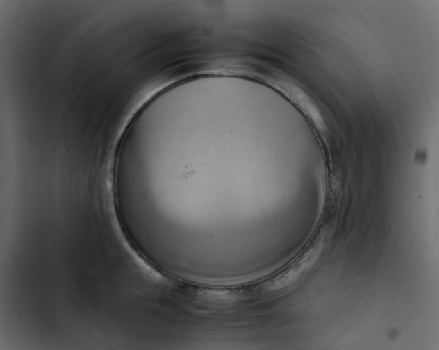 X0000102860855200809021422