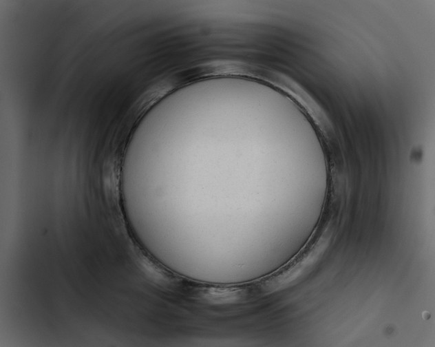 X0000102860857200809021422