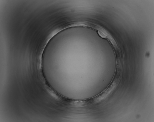 X0000102860858200809021422