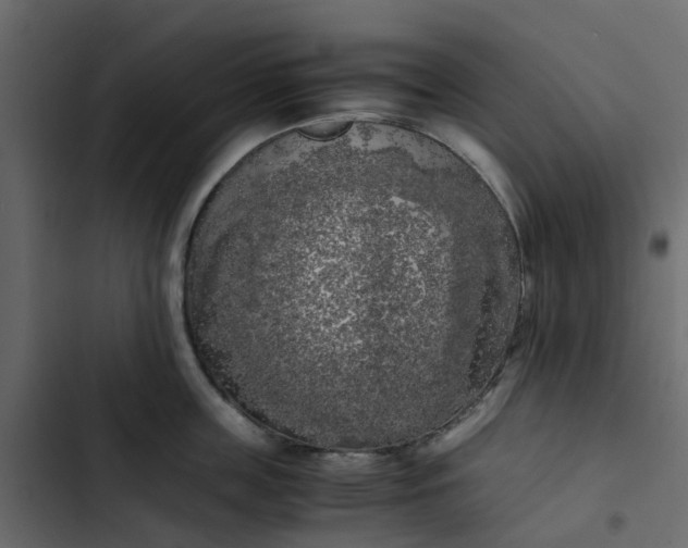 X0000102860859200809021422