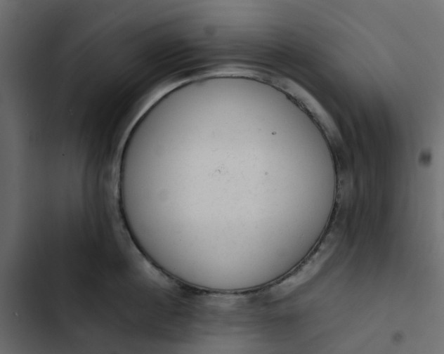 X0000102860860200809021422