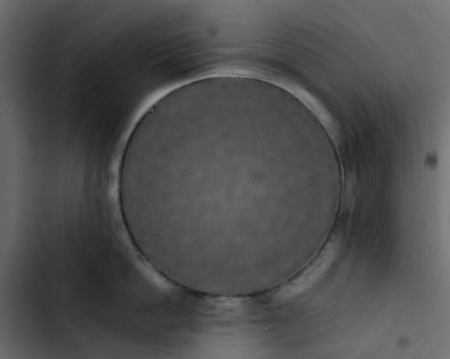 X0000102860862200809021423