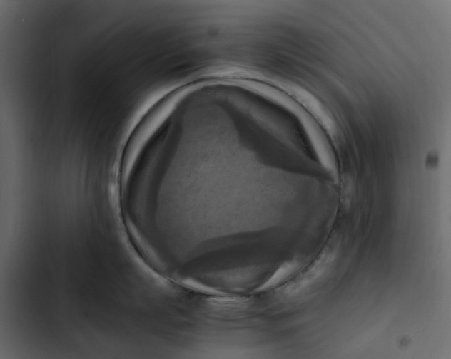 X0000102860863200809021423