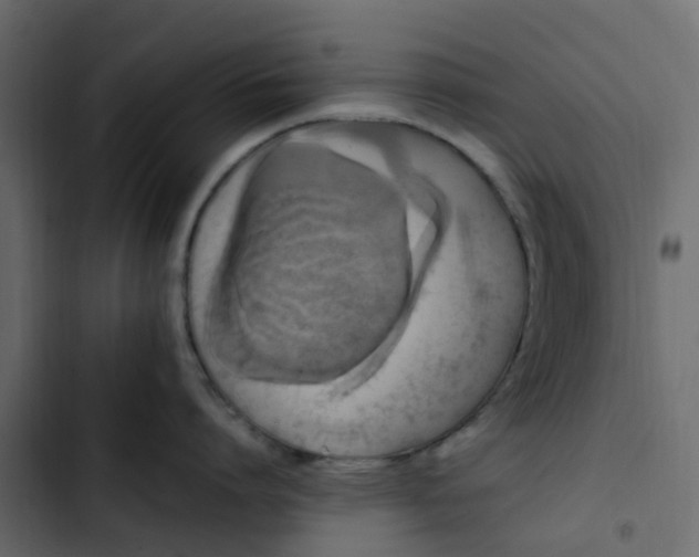 X0000102860864200809021423