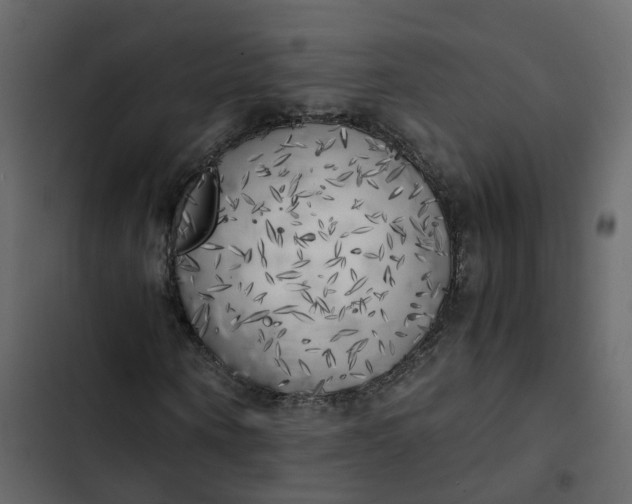 X0000102860866200809021422