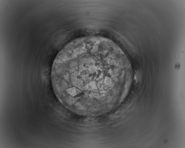 X0000102860867200809021422