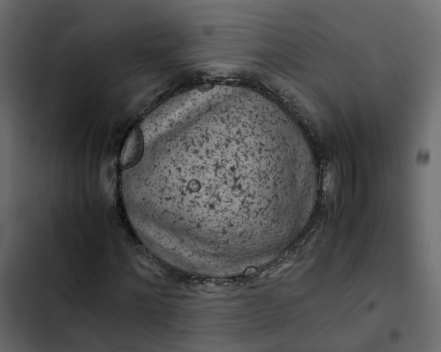 X0000102860868200809021422