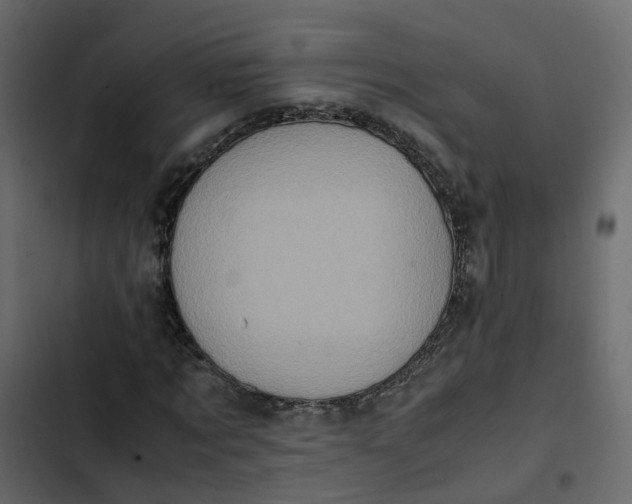 X0000102860869200809021422