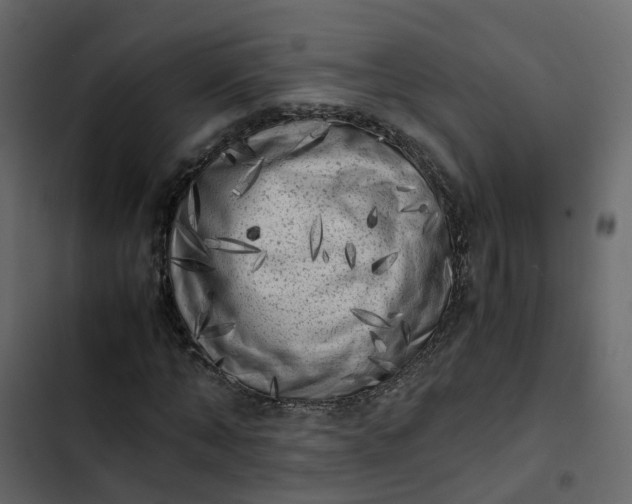 X0000102860870200809021422