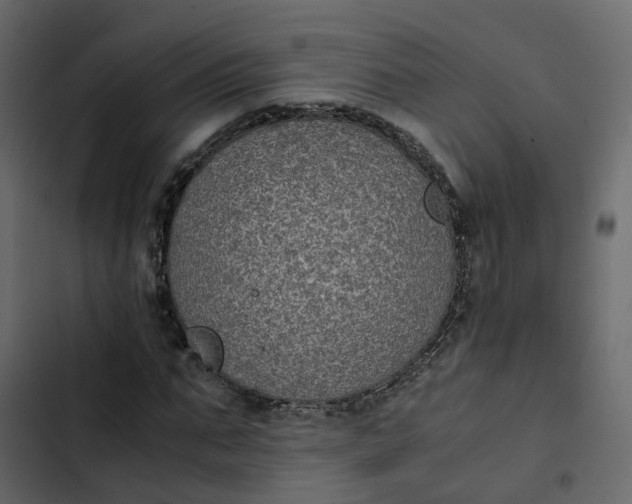 X0000102860871200809021422