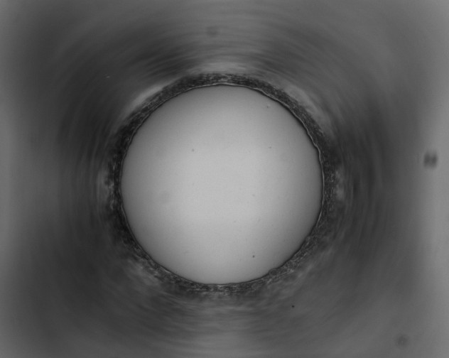 X0000102860872200809021422