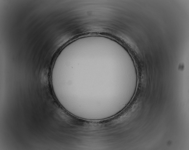 X0000102860873200809021422