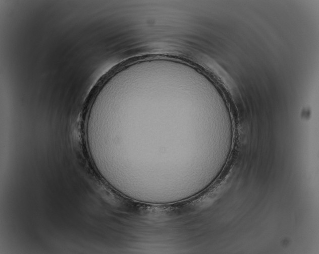 X0000102860875200809021422