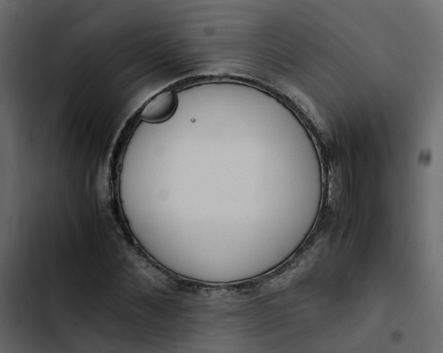 X0000102860876200809021422