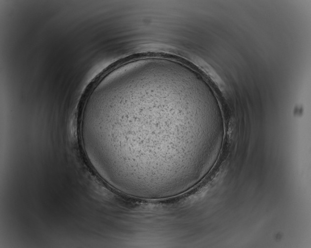 X0000102860877200809021422