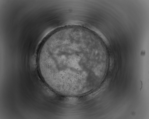 X0000102860878200809021422