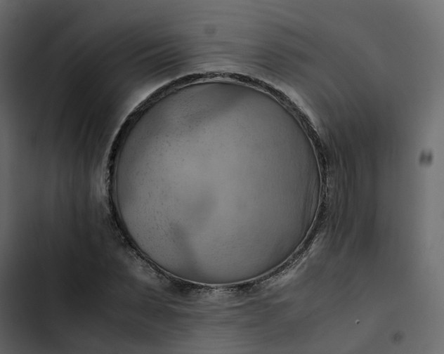 X0000102860879200809021422