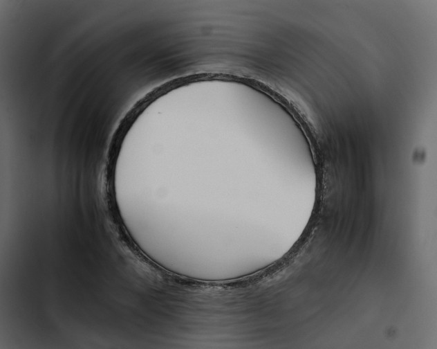 X0000102860880200809021422