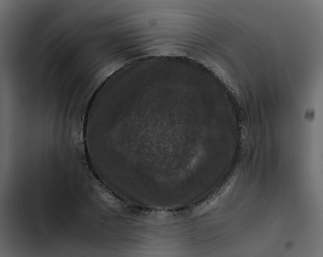 X0000102860881200809021422