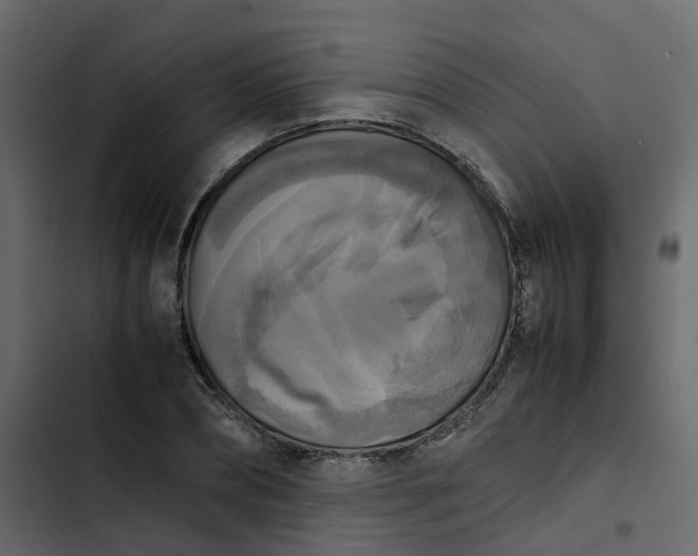 X0000102860882200809021422