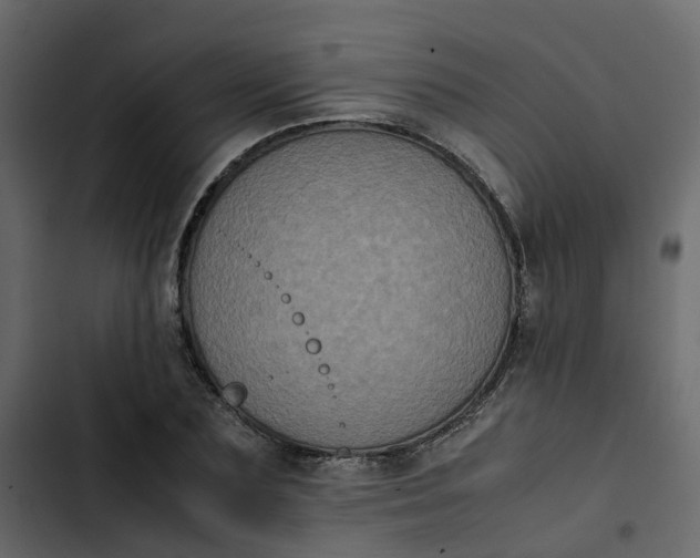 X0000102860883200809021422