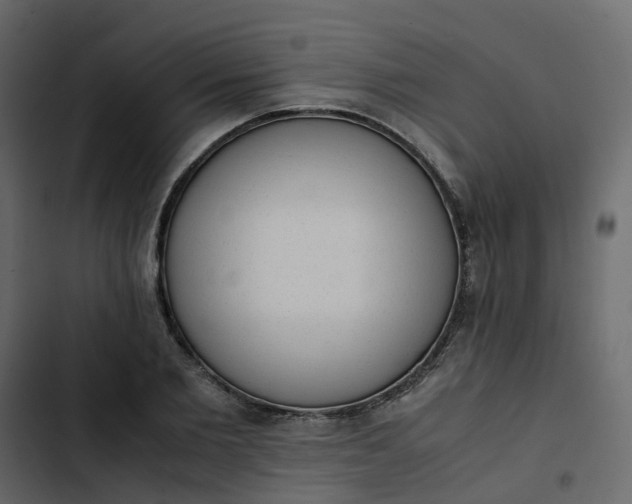 X0000102860885200809021422