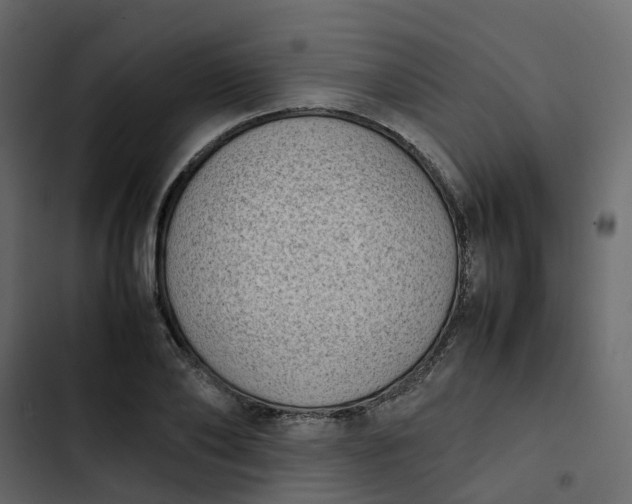 X0000102860886200809021422