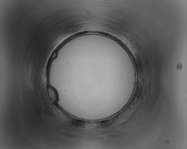 X0000102860887200809021422