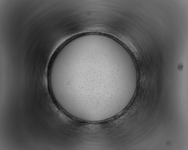 X0000102860888200809021422