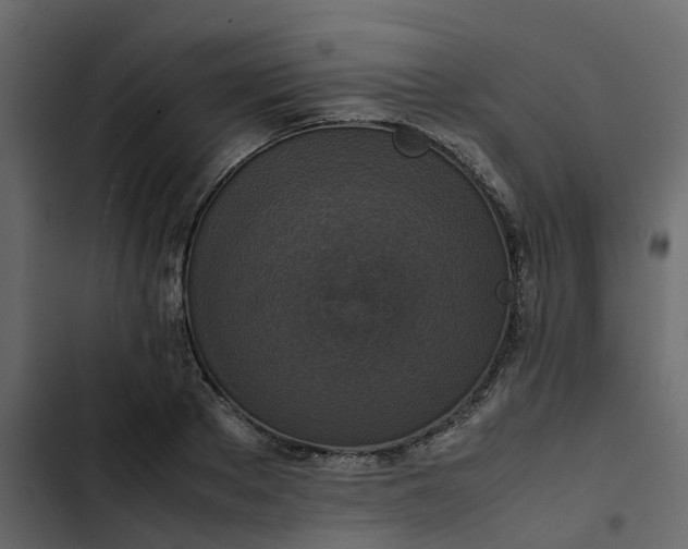 X0000102860889200809021422