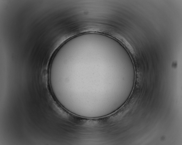 X0000102860890200809021422