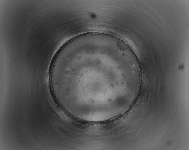 X0000102860891200809021422