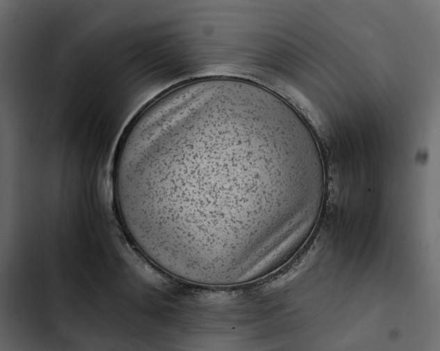 X0000102860892200809021422