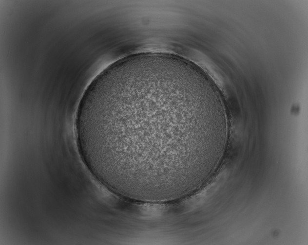 X0000102860893200809021422