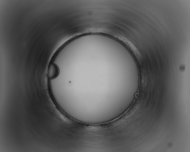 X0000102860894200809021421