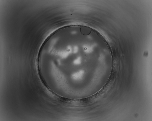 X0000102860895200809021421