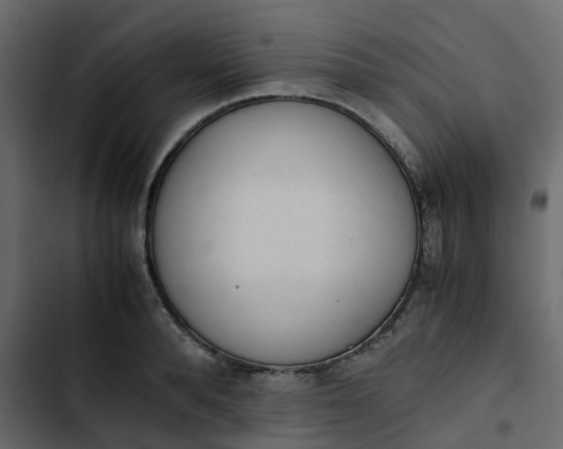 X0000102860896200809021421