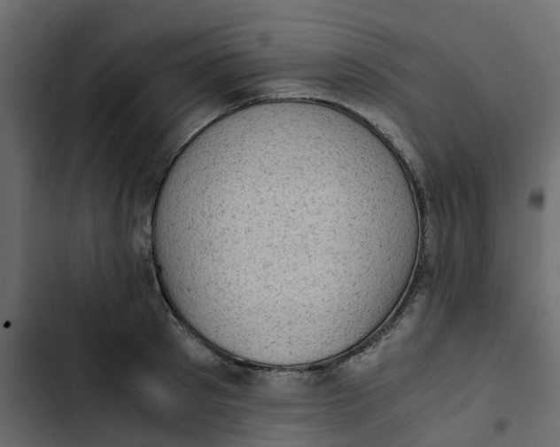 X0000102860897200809021421