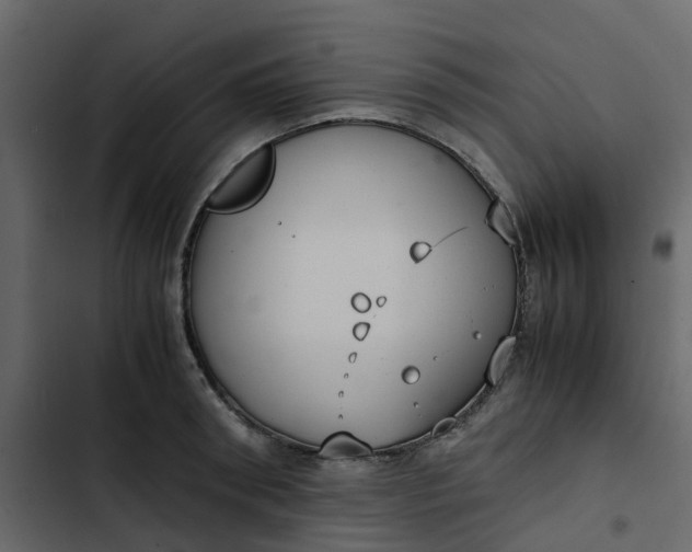 X0000102860898200809021421