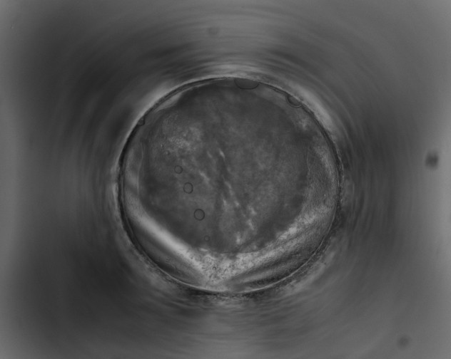 X0000102860899200809021421