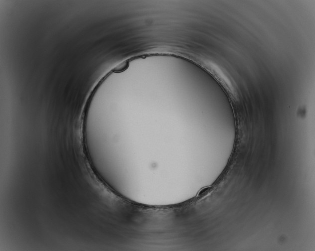 X0000102860900200809021421