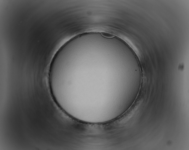 X0000102860901200809021421