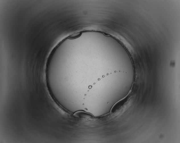 X0000102860902200809021421