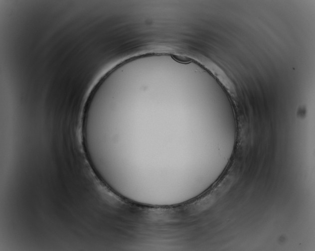 X0000102860904200809021421